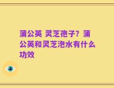 蒲公英 灵芝孢子？蒲公英和灵芝泡水有什么功效