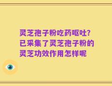 灵芝孢子粉吃药呕吐？已采集了灵芝孢子粉的灵芝功效作用怎样呢