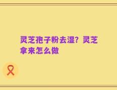 灵芝孢子粉去湿？灵芝拿来怎么做