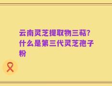 云南灵芝提取物三萜？什么是第三代灵芝孢子粉