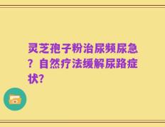 灵芝孢子粉治尿频尿急？自然疗法缓解尿路症状？