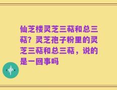 仙芝楼灵芝三萜和总三萜？灵芝孢子粉里的灵芝三萜和总三萜，说的是一回事吗