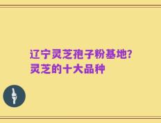 辽宁灵芝孢子粉基地？灵芝的十大品种