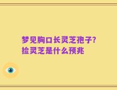 梦见胸口长灵芝孢子？捡灵芝是什么预兆
