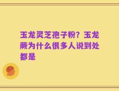 玉龙灵芝孢子粉？玉龙蕨为什么很多人说到处都是