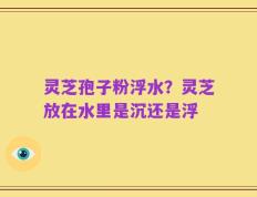 灵芝孢子粉浮水？灵芝放在水里是沉还是浮