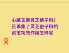 心脏支架灵芝孢子粉？已采集了灵芝孢子粉的灵芝功效作用怎样呢