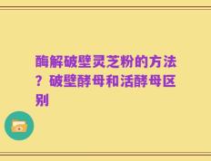 酶解破壁灵芝粉的方法？破壁酵母和活酵母区别