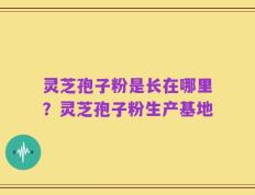 灵芝孢子粉是长在哪里？灵芝孢子粉生产基地