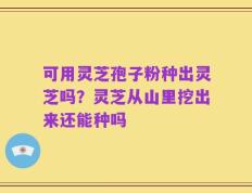 可用灵芝孢子粉种出灵芝吗？灵芝从山里挖出来还能种吗