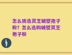 怎么挑选灵芝破壁孢子粉？怎么选购破壁灵芝袍子粉