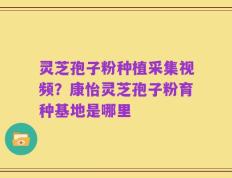 灵芝孢子粉种植采集视频？康怡灵芝孢子粉育种基地是哪里