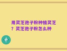 用灵芝孢子粉种植灵芝？灵芝孢子粉怎么种