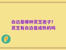 白边是哪种灵芝孢子？灵芝有白边是成熟的吗