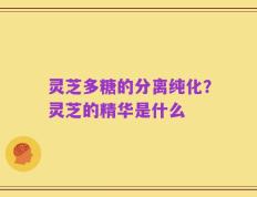 灵芝多糖的分离纯化？灵芝的精华是什么