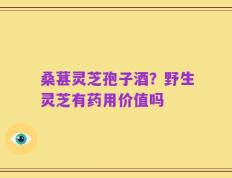 桑葚灵芝孢子酒？野生灵芝有药用价值吗