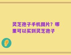 灵芝孢子手机图片？哪里可以买到灵芝孢子