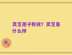 灵芝孢子粉疣？灵芝是什么样