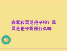 鹿茸和灵芝孢子粉？真灵芝孢子粉是什么味