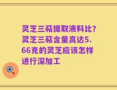 灵芝三萜提取液料比？灵芝三萜含量高达5.66克的灵芝应该怎样进行深加工