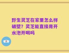 野生灵芝在家里怎么样破壁？灵芝能直接用开水泡开喝吗