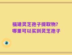 福建灵芝孢子提取物？哪里可以买到灵芝孢子
