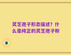灵芝孢子形态描述？什么是纯正的灵芝孢子粉