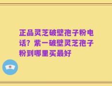 正品灵芝破壁孢子粉电话？紫一破壁灵芝孢子粉到哪里买最好