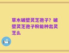 草木破壁灵芝孢子？破壁灵芝孢子粉能种出灵芝么