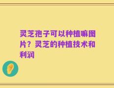 灵芝孢子可以种植嘛图片？灵芝的种植技术和利润