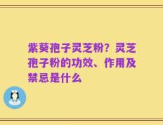 紫葵孢子灵芝粉？灵芝孢子粉的功效、作用及禁忌是什么