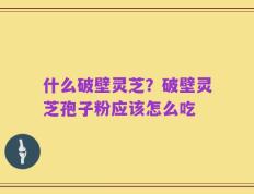 什么破壁灵芝？破壁灵芝孢子粉应该怎么吃