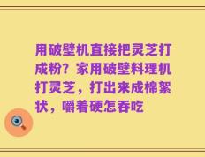 用破壁机直接把灵芝打成粉？家用破壁料理机打灵芝，打出来成棉絮状，嚼着硬怎吞吃