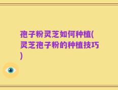 孢子粉灵芝如何种植(灵芝孢子粉的种植技巧)