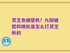 灵芝食破壁机？九阳破壁料理机是怎么打灵芝粉的