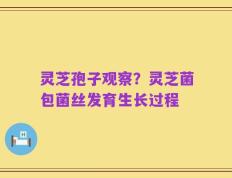 灵芝孢子观察？灵芝菌包菌丝发育生长过程