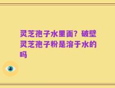 灵芝孢子水里面？破壁灵芝孢子粉是溶于水的吗