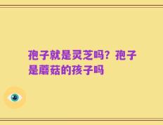 孢子就是灵芝吗？孢子是蘑菇的孩子吗