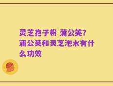 灵芝孢子粉 蒲公英？蒲公英和灵芝泡水有什么功效