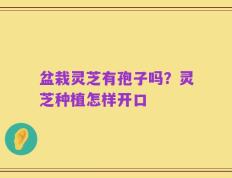 盆栽灵芝有孢子吗？灵芝种植怎样开口