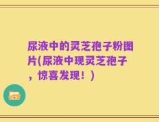 尿液中的灵芝孢子粉图片(尿液中现灵芝孢子，惊喜发现！)