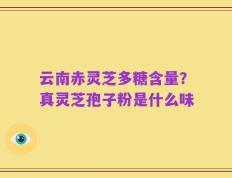 云南赤灵芝多糖含量？真灵芝孢子粉是什么味