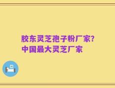 胶东灵芝孢子粉厂家？中国最大灵芝厂家