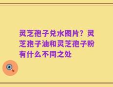 灵芝孢子兑水图片？灵芝孢子油和灵芝孢子粉有什么不同之处