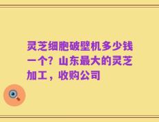 灵芝细胞破壁机多少钱一个？山东最大的灵芝加工，收购公司