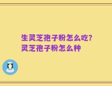 生灵芝孢子粉怎么吃？灵芝孢子粉怎么种