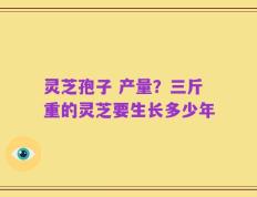 灵芝孢子 产量？三斤重的灵芝要生长多少年