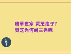 瑞草世家 灵芝孢子？灵芝为何叫三秀呢
