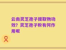 云南灵芝孢子提取物功效？灵芝孢子粉有何作用呢
