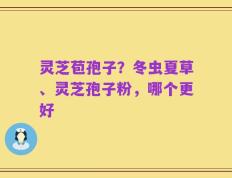 灵芝苞孢子？冬虫夏草、灵芝孢子粉，哪个更好